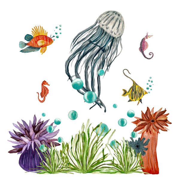 珊瑚水母海藻泡泡海鱼水彩画图片下载