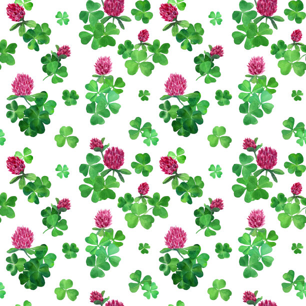 水彩三叶草在开花无缝模式。手绘弹簧背景图片下载