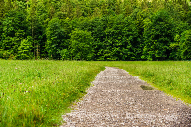 场的路径图片下载