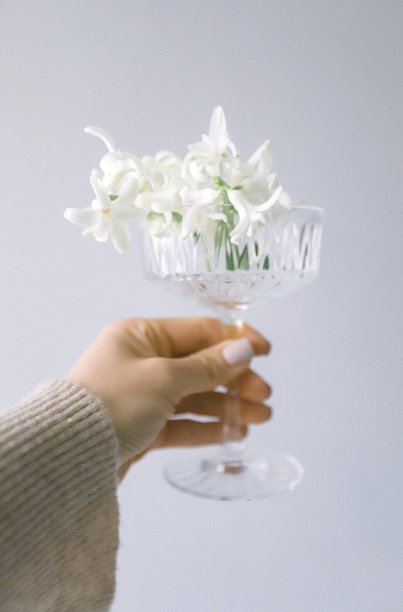 玻璃杯里的白花图片下载