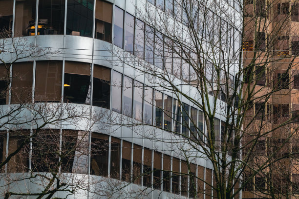 加拿大不列颠哥伦比亚省的温哥华图片下载