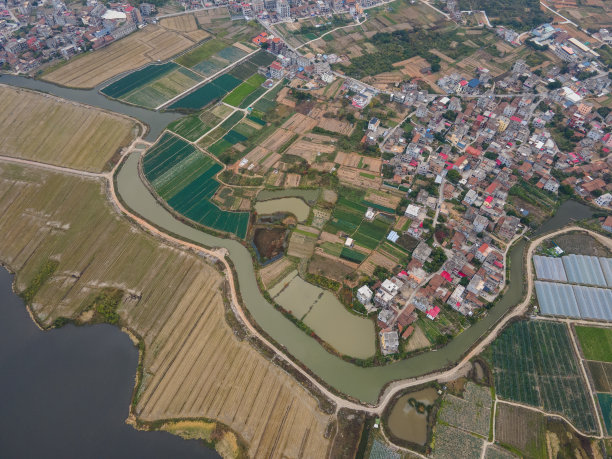 湖边的农田和村舍图片下载