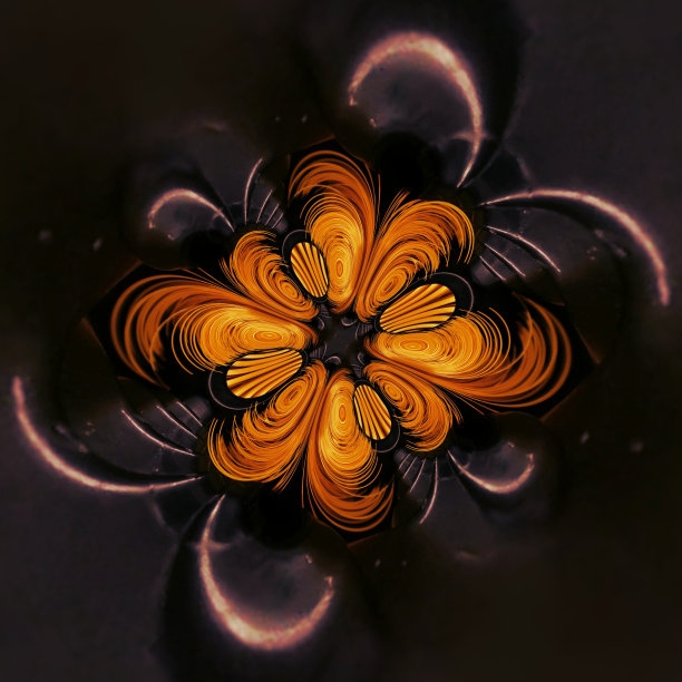 金黄色的花朵梦幻万花筒上的黑色图片下载