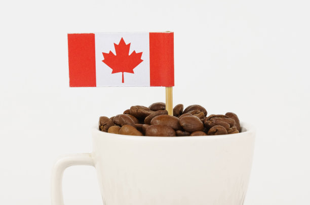 加拿大国旗从一杯烘培咖啡豆中伸出来。图片下载