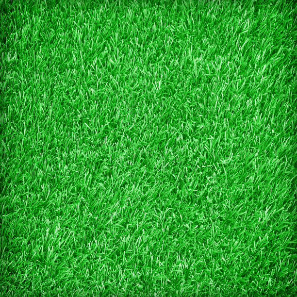 绿色人造草纹理背景图片下载