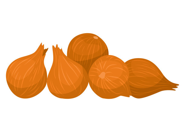 什锦新鲜蔬菜。农民标记，杂货店，零废物商店。本地市场食品，新鲜有机农产品。美味健康的食物图片下载