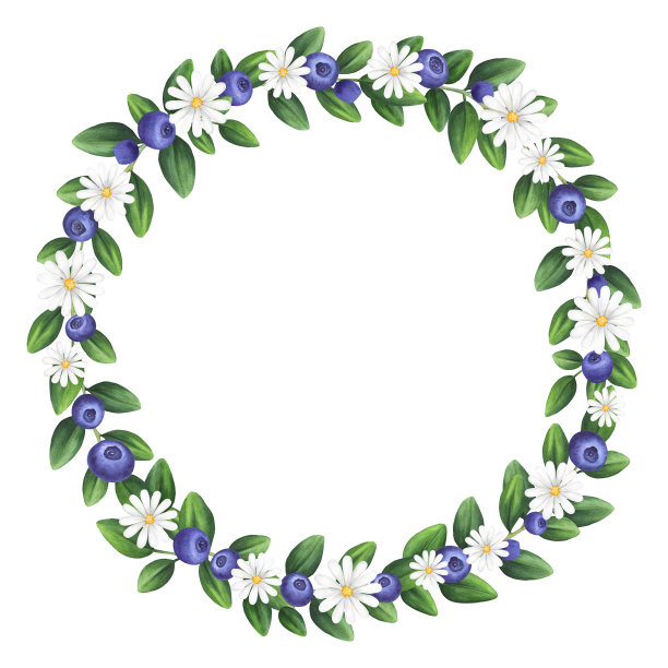 水彩蓝莓和雏菊花环图片下载
