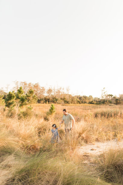 一个可爱的古巴裔美国3岁女童，棕色卷发和棕色眼睛，穿着蓝色连衣裙和白色凉鞋，走着并拉着她父亲的手，拉着他穿过佛罗里达州朱庇特农场的野花和干燥的蒲苇草地，在日落时分图片下载