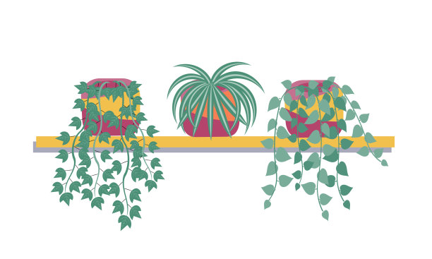 悬挂植物图片下载