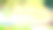 海滩花园水彩插图背景横幅图片下载