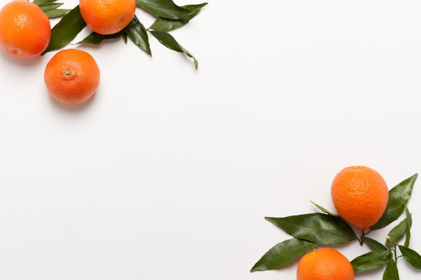 柑橘布局图片下载