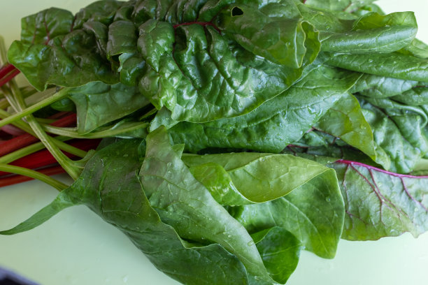 餐桌上有甜菜和甜菜的生菜叶。生绿叶蔬菜出版，设计，海报，日历，邮政，屏幕保护程序，墙纸，明信片，横幅，封面。高质量照片图片下载