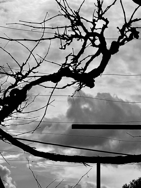 美丽的大自然图片下载