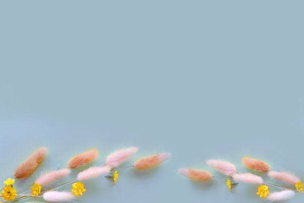 春花背景图片下载