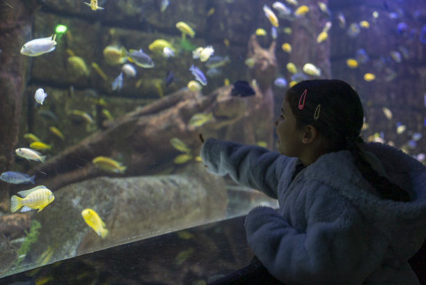 小女孩在水族馆里看五颜六色的鱼图片下载