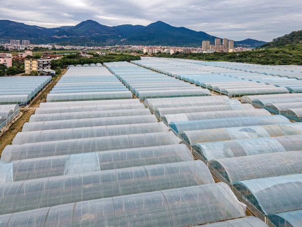 排列整齐的物化颜料温室图片下载