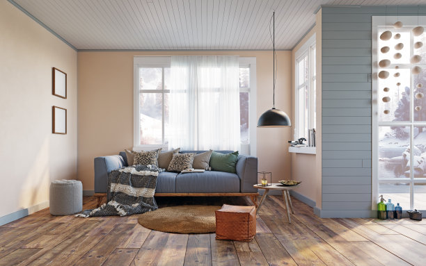 可爱的枕头在舒适的沙发在斯堪的纳维亚现代客厅图片下载