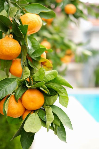 普通话图片下载