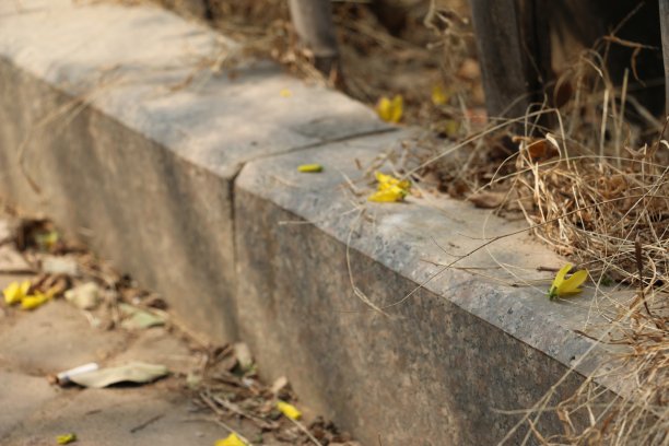 旋转木马图片下载