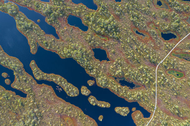 无人机拍摄的沼泽有蜿蜒的溪流，高大的芦苇和草，以及绿色和棕色的湿地图片下载