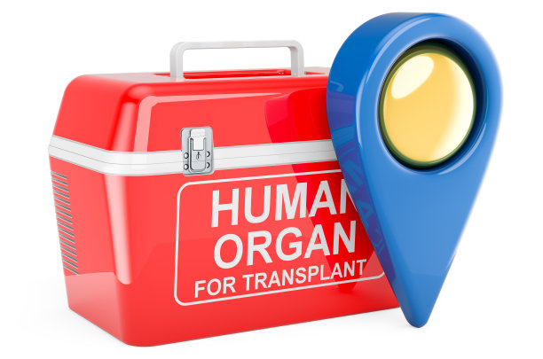 便携式冰箱，用于运送带有地图指针的捐献器官。三维渲染图片下载