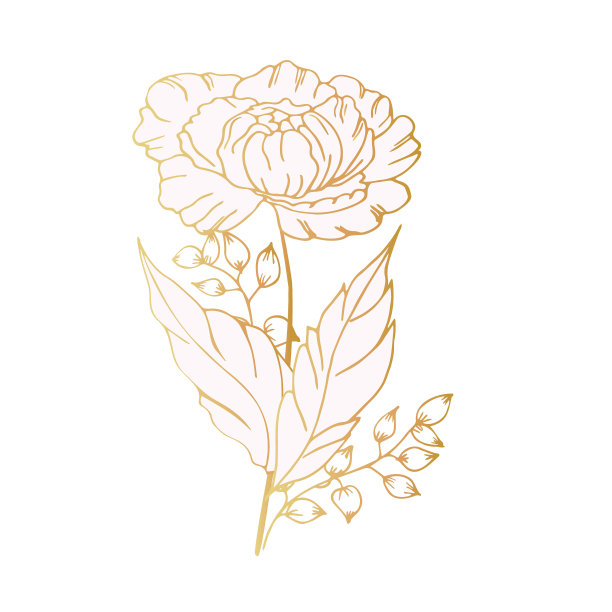 精致的花卉构成，背景郁郁葱葱，豪华的花，芽，叶。用于框架，卡片，海报，海报，分隔，边框。手绘。有空格的文本图片下载