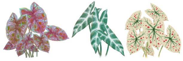 无标题的艺术品图片下载