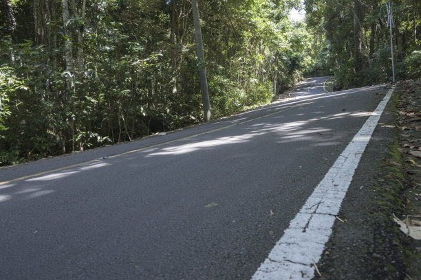 森林中的路-图片图片下载