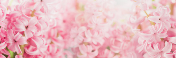 3月8日贺卡。母亲节，国际妇女节祝贺节日背景图片下载