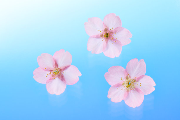 蓝色渐变背景图片下载