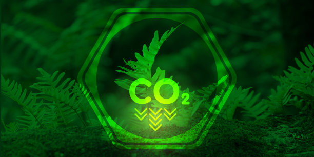 生态、可持续资源、可再生能源理念。一株蕨类植物的萌芽，旁边的图案是降低大气中二氧化碳的水平。图片设计。图片下载