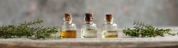 一瓶百里香精油与新鲜百里香全景头图片下载