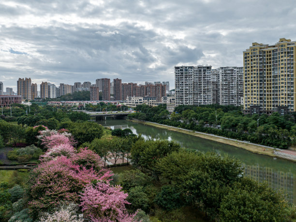 生态公园旁的城市建筑图片下载