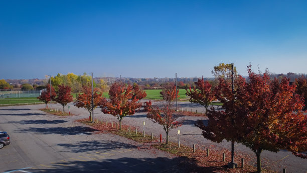 纽约罗彻斯特，一排美丽的枫叶在社区娱乐中心空旷的停车场上，背景是网球场图片下载