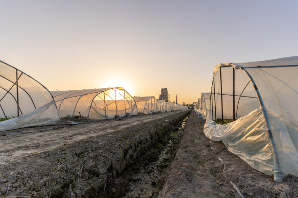 温室与现代农业作物图片下载