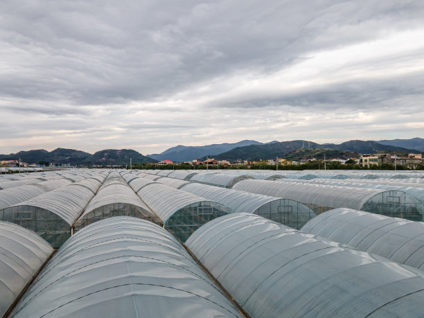 排列整齐的物化颜料温室图片下载