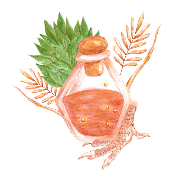 水彩画魔幻毒药构图。孤立在白色背景上。剪贴簿，明信片，横幅，标签。图片下载