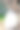 公园里的白鹦鹉图片下载