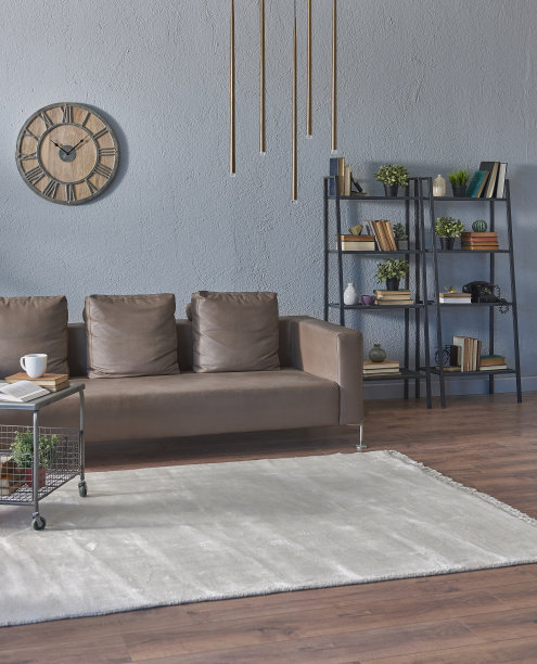 现代家庭室内客厅和家庭办公室，木桌子笔记本电脑书架书花在桌子地毯。图片下载