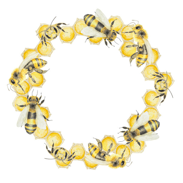 水彩手绘的蜜蜂和蜂蜜孤立在白色背景框架图片下载