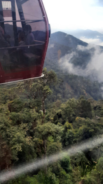 云顶高地的森林图片下载