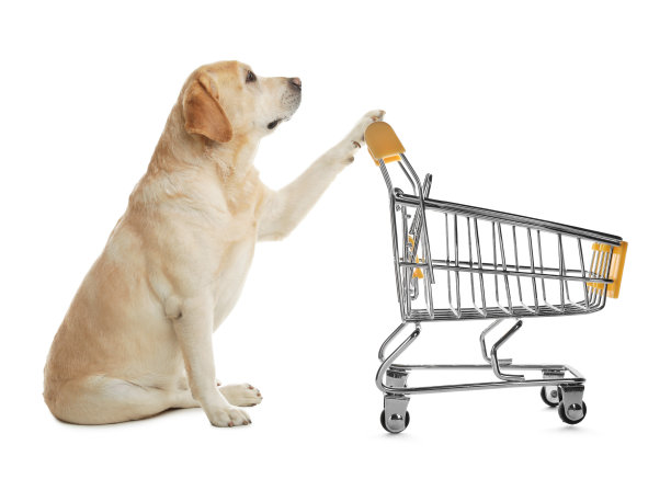 可爱的狗和白色背景的购物车图片下载
