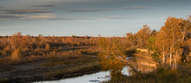 在加拿大阿尔伯塔省的卡斯顿县开车图片下载