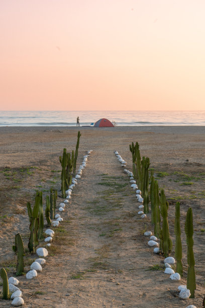 沙滩上露营帐篷的背景照片。图片下载