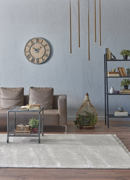 现代家庭室内客厅和家庭办公室，木桌子笔记本电脑书架书花在桌子地毯。图片下载