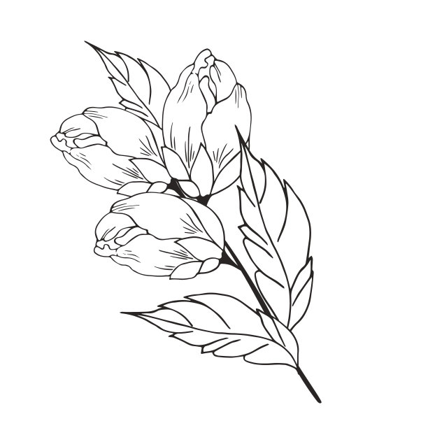 精致的花卉构成，背景郁郁葱葱，豪华的花，芽，叶。用于框架，卡片，海报，海报，分隔，边框。手绘。有空格的文本图片下载