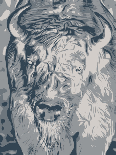 剪影的欧洲野牛头插图。野牛标志或符号。图片下载