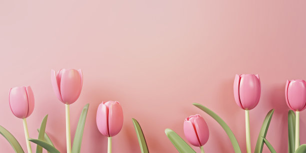 3 d渲染。妇女节设计。妇女节问候文字与鲜花背景为妇女国际庆祝活动。图片下载