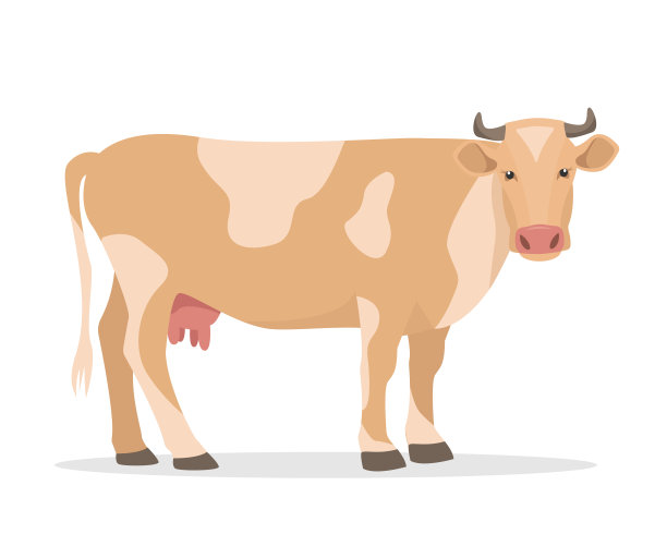 奶牛图标孤立的白色背景。奶牛。农场动物。图片下载