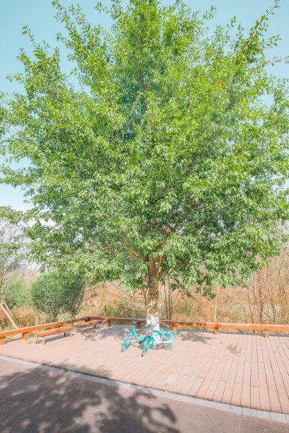 阳光成都金融城图片下载